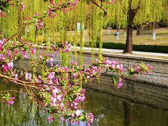 -海棠花溪(元大都城垣遗址公园)