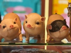 -小猪找肉肉脯干(鼓浪屿店)