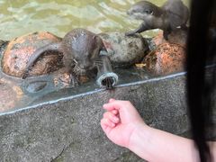 -杭州野生动物世界