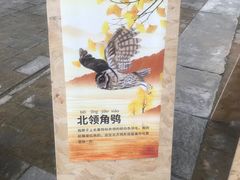 -承恩寺