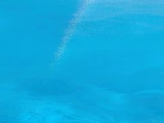 -上海玛雅海滩水公园