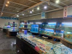 水产区-海棠湾聚鼎香海鲜坊(海昌梦幻不夜城店)
