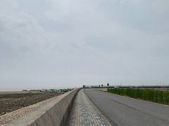 -南汇嘴观海公园