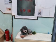 -宠福鑫康馨动物医院·骨科·眼科