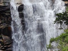 -海南热带雨林国家公园吊罗山景区
