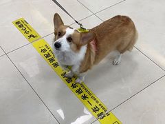 -北京观赏动物医院·24小时大型综合·猫专科·异宠专科