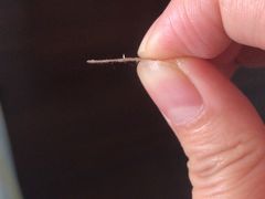 -上海中医药大学附属曙光医院(东部)