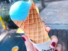 -莓园冰淇淋店
