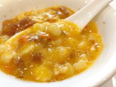 蟹粉芽米烩桃胶-新光酒家·河豚·海鲜·蟹料理(浦东店)