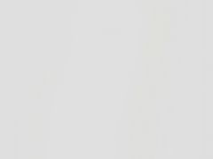 -泮溪酒家(荔枝湾店)