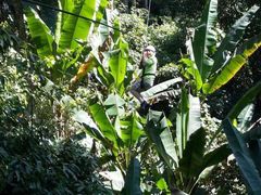 -清迈丛林飞跃 JungleFlight