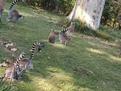 -全家便利店(沪青平公路四店)