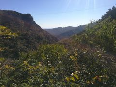 -北京上方山国家森林公园