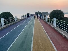 -贡湖湾湿地公园