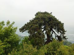 -终南山南五台景区