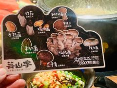 -芸山季·云南山珍菌火锅(人民广场来福士店)