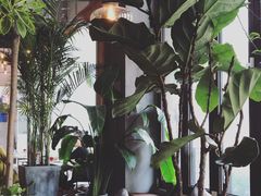 -the rug 飞毯 (朝阳公园店)