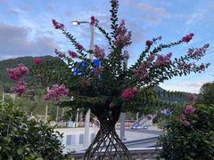 -贵阳市花溪国家城市湿地公园