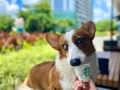 -星巴克(珠海仁恒滨海中心店)