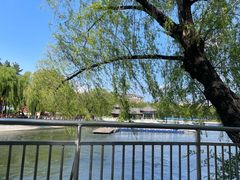 -长春市南湖公园