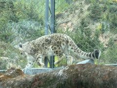 -青藏高原野生动物园