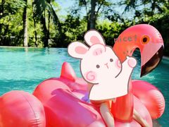 -海南清水湾莱佛士酒店