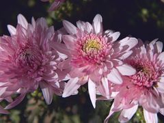 -共青国家森林公园-售票处