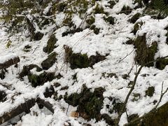 -九峰山