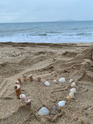 -三亚湾皇冠假日度假酒店·宴会厅