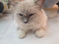 -极木²邸 人与宠物·互动社区