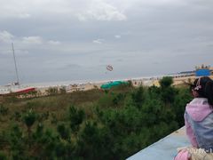 -日照海滨国家森林公园