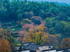 开化清水鱼-京杭上院·河景花园餐厅·杭帮菜名店