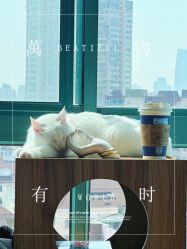 -齐伽生活馆·瑜伽·普拉提·阿育吠陀