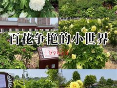 -曹州百花园