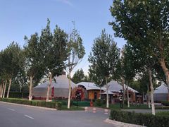 -九十九顶毡房(阜石路店)