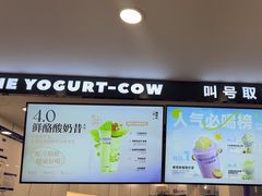 -一只酸奶牛(洪崖洞11楼店)