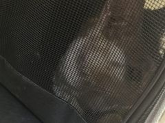-动物缘宠物医院·骨科·猫科(西二环店)