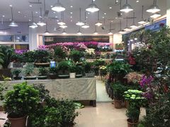 -双季花艺园艺市场(浦东店)