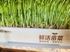 -捞神煲汤火锅(湖滨商业街店)