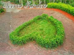 -田园寨农园观光园