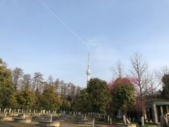 -龟山风景区-龟山电视塔