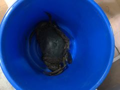 -龙海鲜螃蟹王(宏茂桥店)