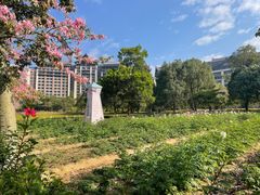 -清远熹乐谷温泉度假酒店