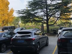 -奔驰上海利星(七宝店)