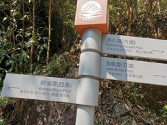 -花岩国家森林公园