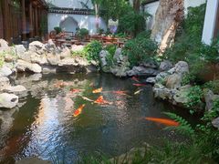 -鲤院·新中式美学·庭院餐厅(夫子庙店)