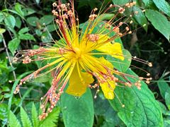 -秦岭终南山世界地质公园翠华山景区