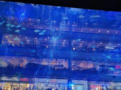 -成都浩海立方海洋公园