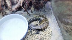 -酷嗒动物文化乐园(cutezoo西溪乐天城店)