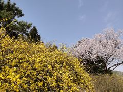 -北京西山国家森林公园